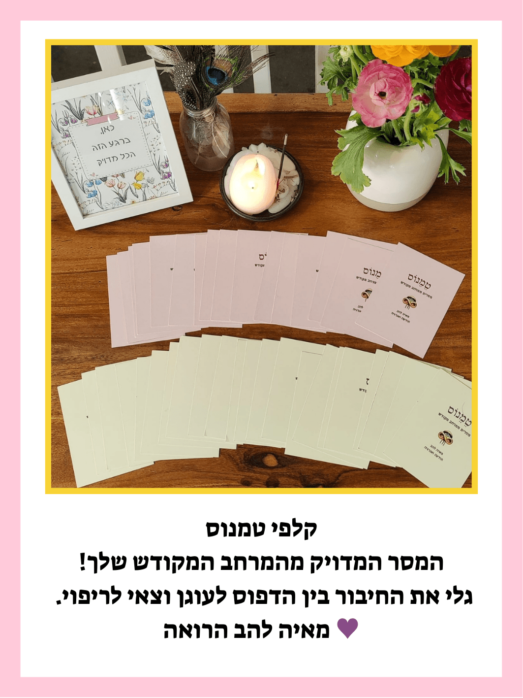 קלף האקשן - מאיה להב